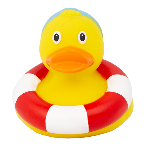 Badeend Swimmer Duck