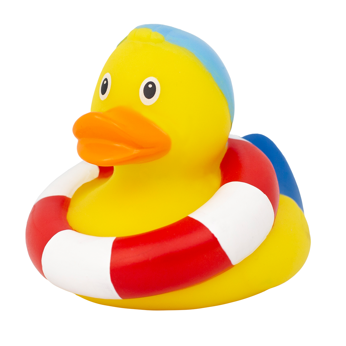 Badeend Swimmer Duck