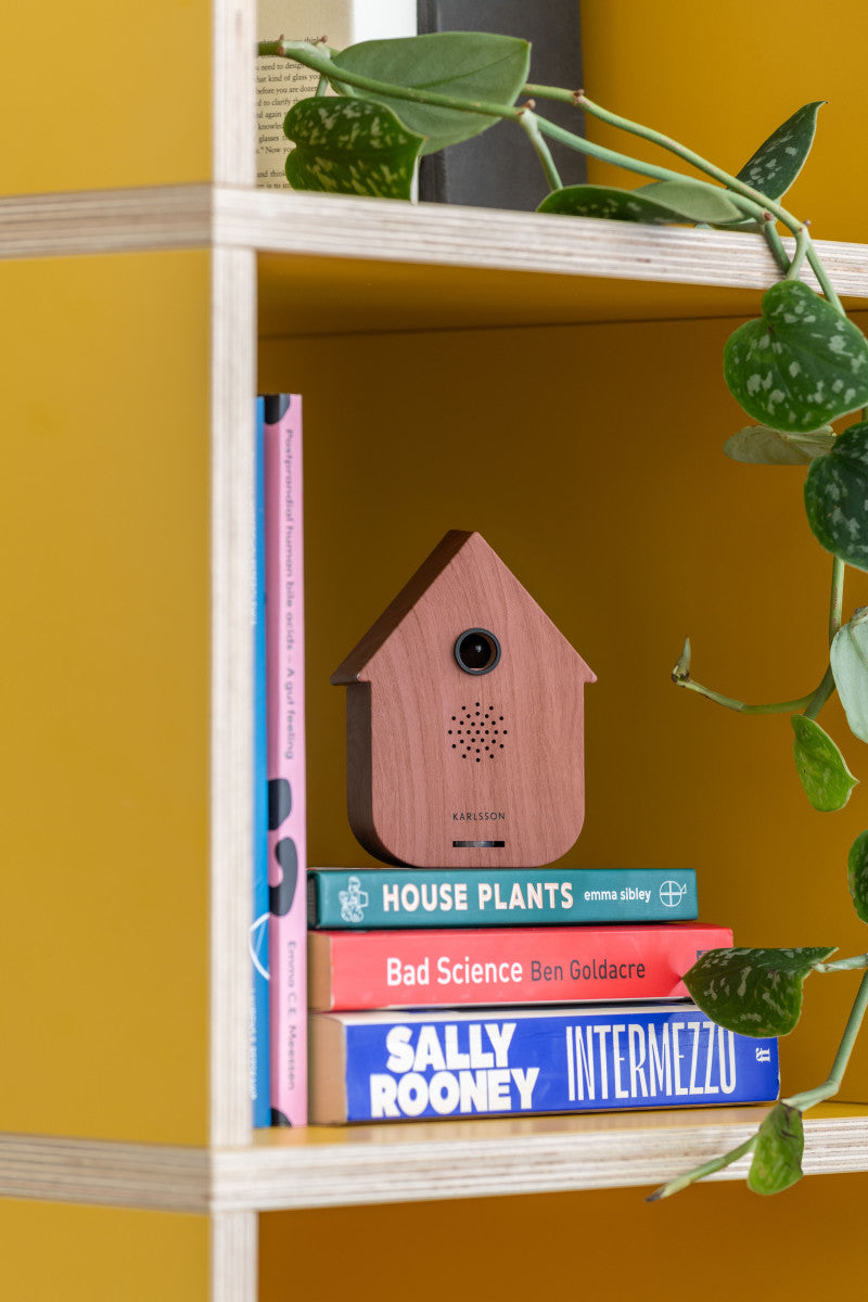 Karlsson Sound Box Modern Cuckoo – Vogelhuisje Dark Wood, sfeer