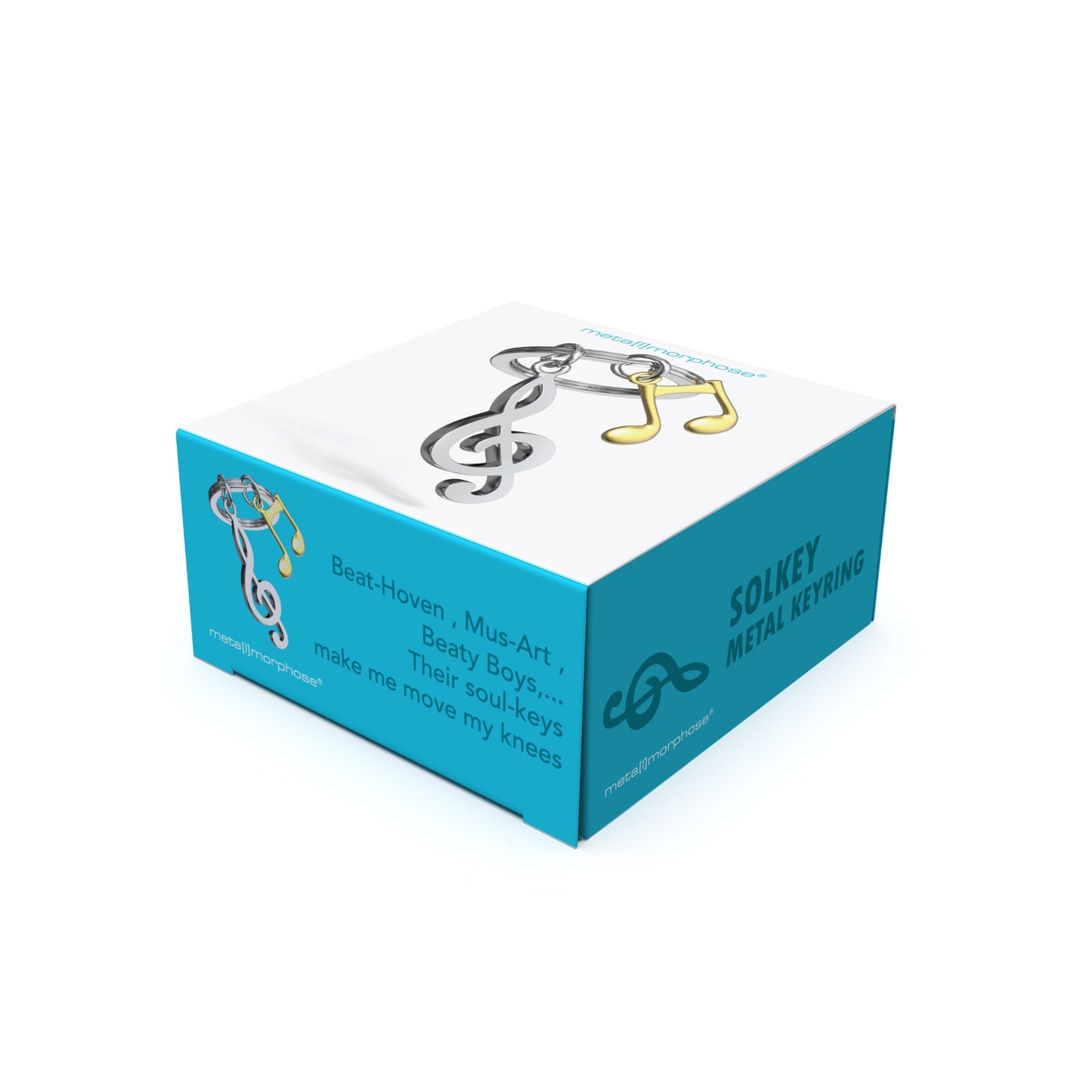 Metalmorphose Soul Key sleutelhanger in luxe Vectorbox verpakking