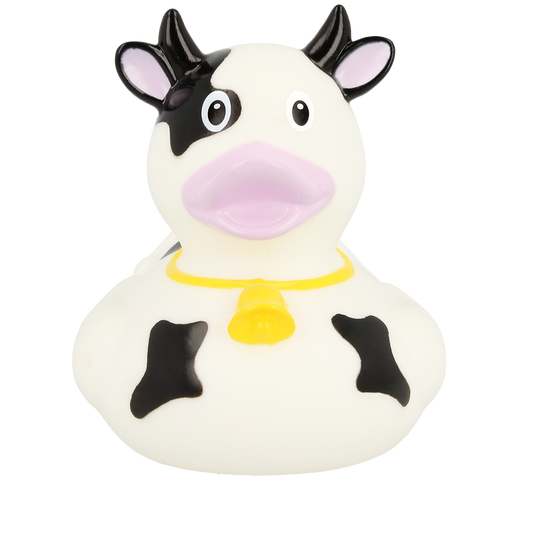 Black Cow Duck