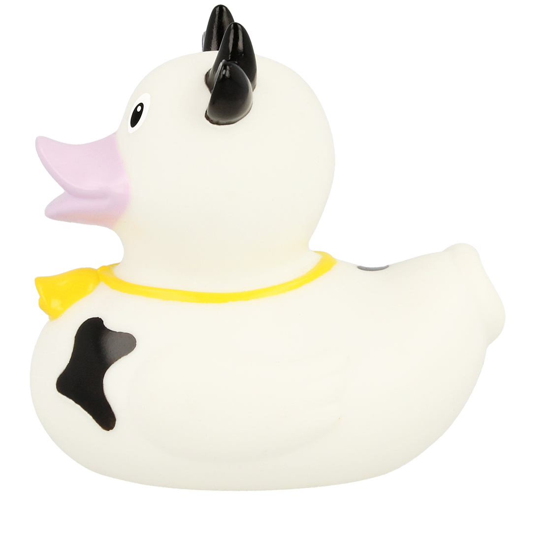 Black Cow Duck