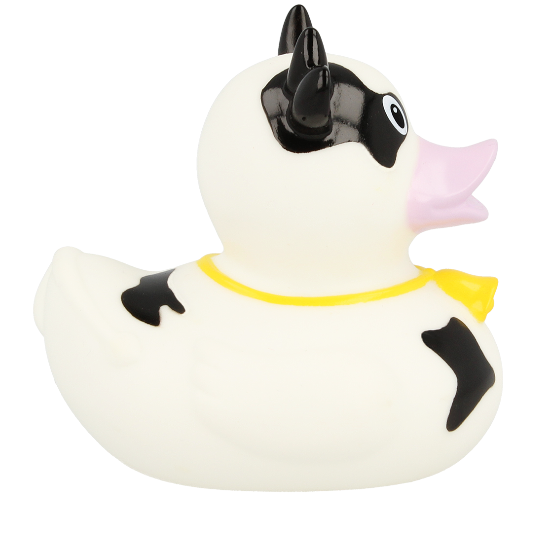 Black Cow Duck